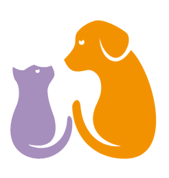 cats and dogs graphic