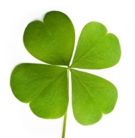 four-leaf-clover (196x200).jpg