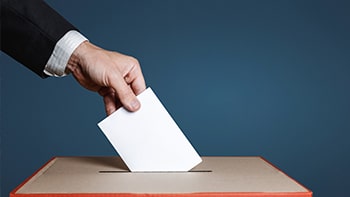 40. Readers of the - The Daily Record vote DP Solutions.png-min