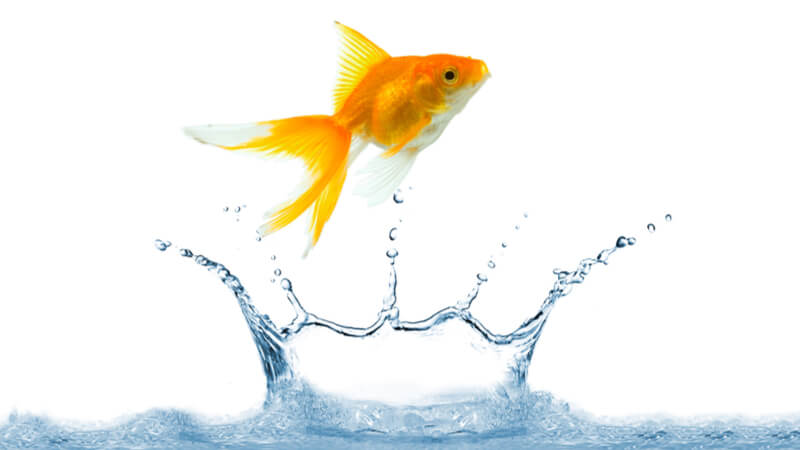 Moving to the Cloud and How to Shift Your Security Management Strategy